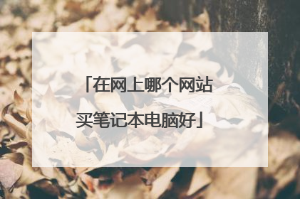在网上哪个网站买笔记本电脑好