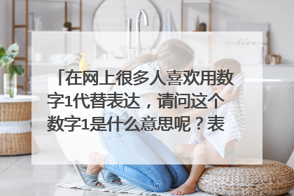 在网上很多人喜欢用数字1代替表达，请问这个数字1是什么意思呢？表达的什么呢？？