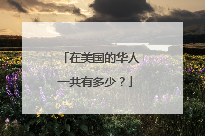 在美国的华人一共有多少？