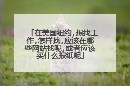 在美国纽约,想找工作,怎样找,应该在哪些网站找呢,或者应该买什么报纸呢