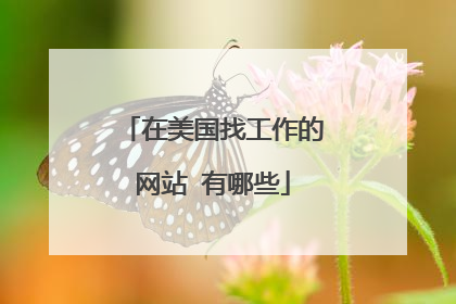 在美国找工作的网站 有哪些
