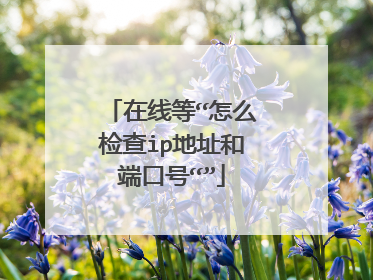 在线等“怎么检查ip地址和端口号“”