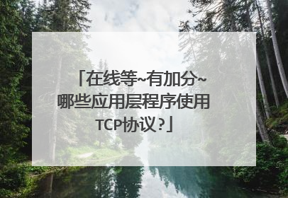 在线等~有加分~哪些应用层程序使用TCP协议?