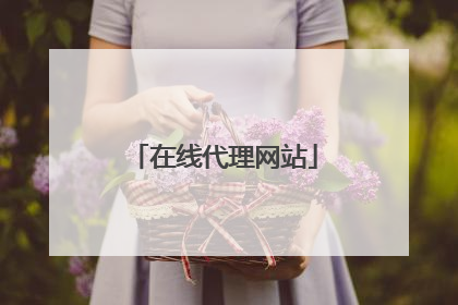 在线代理网站