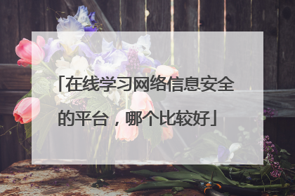 在线学习网络信息安全的平台,哪个比较好