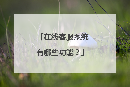 在线客服系统有哪些功能?