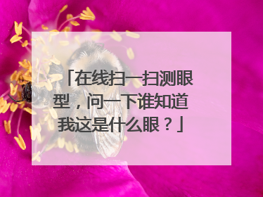 在线扫一扫测眼型,问一下谁知道我这是什么眼?