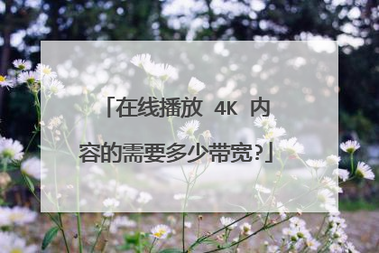 在线播放 4K 内容的需要多少带宽?