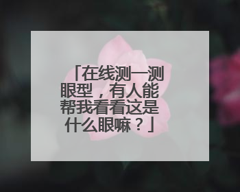 在线测一测眼型，有人能帮我看看这是什么眼嘛？