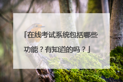 在线考试系统包括哪些功能?有知道的吗?