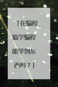 在编程猫学编程能学到东西吗?