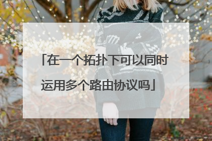 在一个拓扑下可以同时运用多个路由协议吗