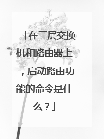 在三层交换机和路由器上,启动路由功能的命令是什么?