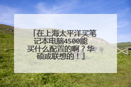 在上海太平洋买笔记本电脑4500能买什么配置的啊?华硕或联想的!
