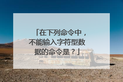 在下列命令中，不能输入字符型数据的命令是？
