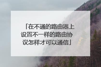 在不通的路由器上设置不一样的路由协议怎样才可以通信