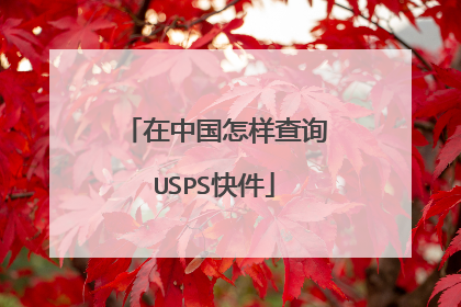 在中国怎样查询USPS快件