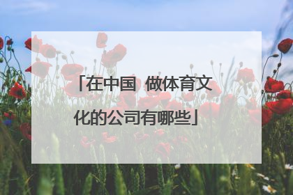 在中国 做体育文化的公司有哪些