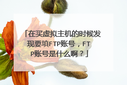 在买虚拟主机的时候发现要填FTP账号,FTP账号是什么啊?