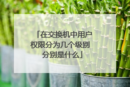 在交换机中用户权限分为几个级别 分别是什么