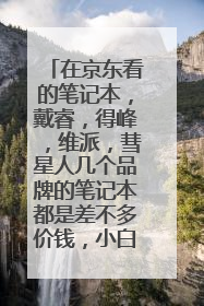 在京东看的笔记本,戴睿,得峰,维派,彗星人几个品牌的笔记本都是差不多价钱,小白问一下哪一个更好呢?