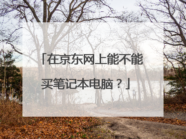 在京东网上能不能买笔记本电脑?