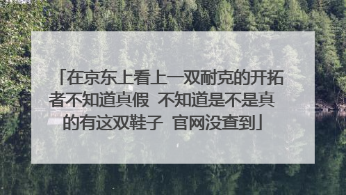 在京东上看上一双耐克的开拓者不知道真假 不知道是不是真的有这双鞋子 官网没查到