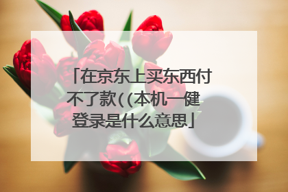 在京东上买东西付不了款((本机一健登录是什么意思