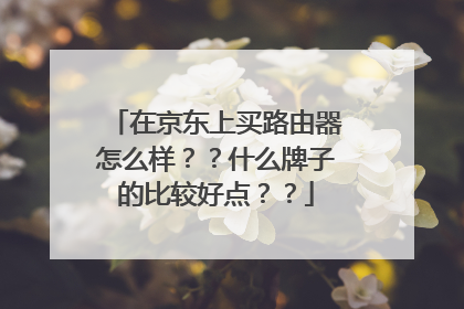 在京东上买路由器怎么样？？什么牌子的比较好点？？