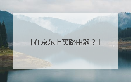 在京东上买路由器?