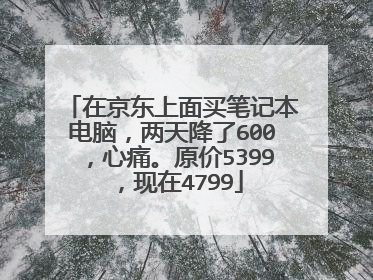 在京东上面买笔记本电脑,两天降了600,心痛。原价5399,现在4799
