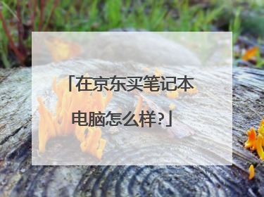 在京东买笔记本电脑怎么样?