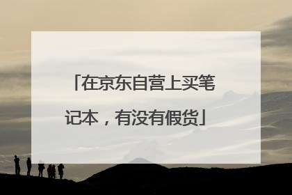 在京东自营上买笔记本，有没有假货