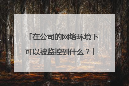 在公司的网络环境下可以被监控到什么？