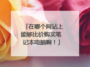 在哪个网站上能够比价购买笔记本电脑啊!