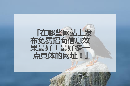 在哪些网站上发布免费招商信息效果最好！最好多一点具体的网址！