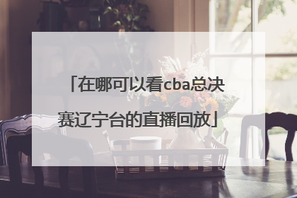 在哪可以看cba总决赛辽宁台的直播回放