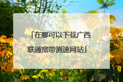 在哪可以下载广西联通宽带测速网站