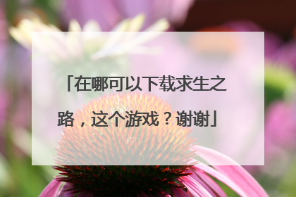 在哪可以下载求生之路，这个游戏？谢谢