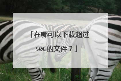 在哪可以下载超过50G的文件?