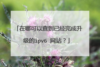 在哪可以查到已经完成升级的ipv6 网站？