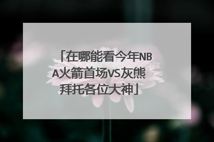 在哪能看今年NBA火箭首场VS灰熊拜托各位大神