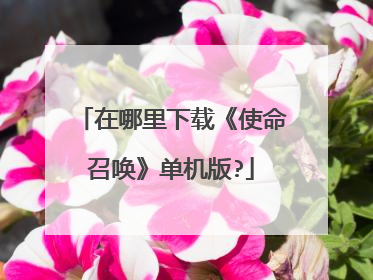 在哪里下载《使命召唤》单机版?