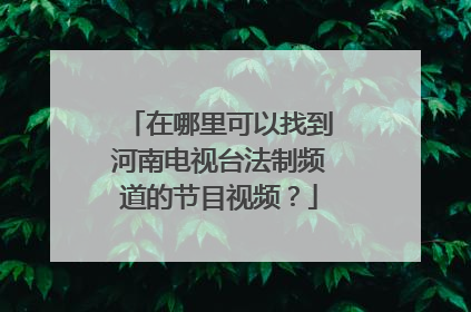 在哪里可以找到河南电视台法制频道的节目视频？