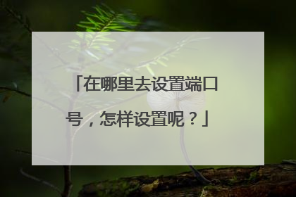 在哪里去设置端口号，怎样设置呢？