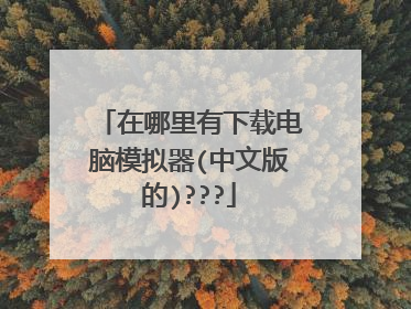 在哪里有下载电脑模拟器(中文版的)???