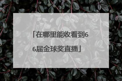 在哪里能收看到66届金球奖直播