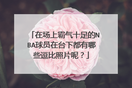 在场上霸气十足的NBA球员在台下都有哪些逗比照片呢?