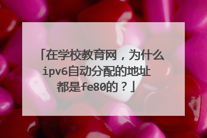 在学校教育网,为什么ipv6自动分配的地址都是fe80的?