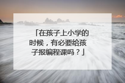 在孩子上小学的时候,有必要给孩子报编程课吗?